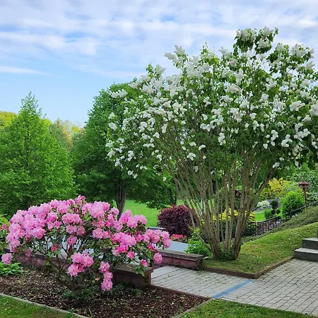 Pöhlwasserblick Apartment